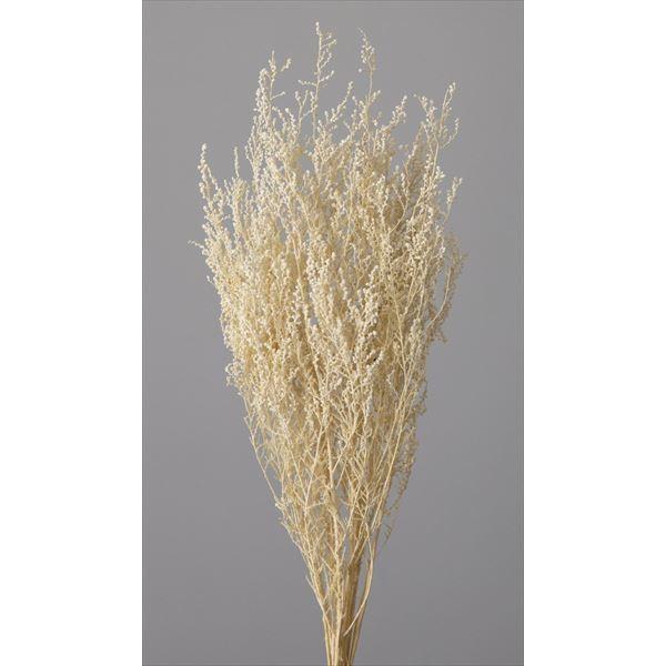 ストーベ オフホワイト 01760-011１束（約35ｇ）約40-50cmL＊自然の生花や植物を原料としています。サイズ、色、形などは同一ではありません。＊表示について《検索ワード》プリザーブドフラワー　ドライフラワー　花材　資材　大地農園...
