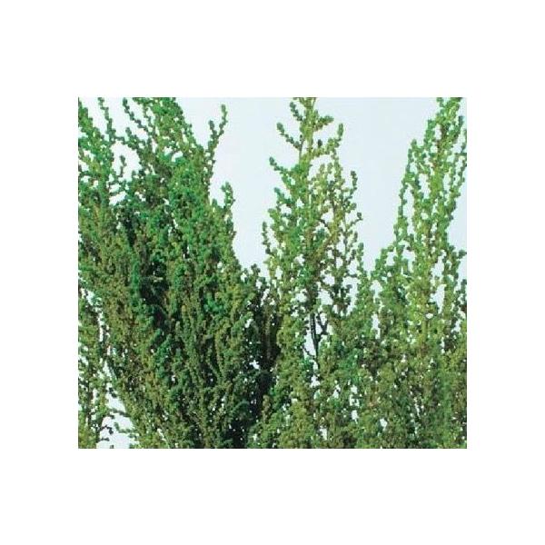 ストーベ ウォッシュグリーン 01760-712【プリザーブドフラワー・プリザーブド　花材】40-50ｃｍL　約50ｇ＊自然の生花や植物を原料としています。＊表示について《検索ワード》プリザーブドフラワー　ドライフラワー　花材　資材　大地農...