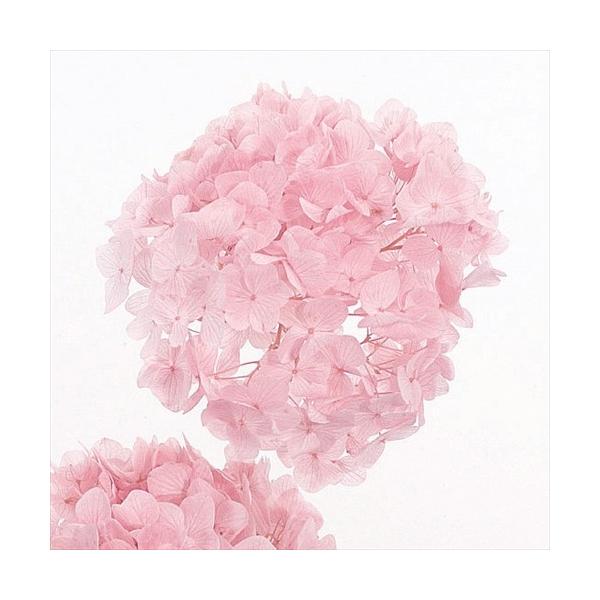 yvU[uht[@ԍށ@ށz ߃AWTCEwbhEsN