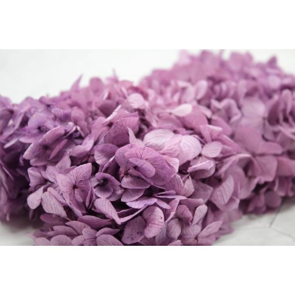 yvU[uht[@ԍށ@ށz ߃AWTCEwbhEp[v