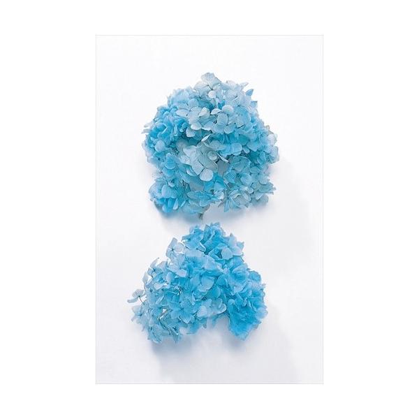 ゆめアジサイ・ヘッド ブルー 01900-601【プリザーブドフラワー・プリザーブド　花材】1箱（約2輪分）＊自然の生花や植物を原料としています。サイズ、色、形などは同一ではありません＊表示について《検索ワード》プリザーブドフラワー　ドライ...