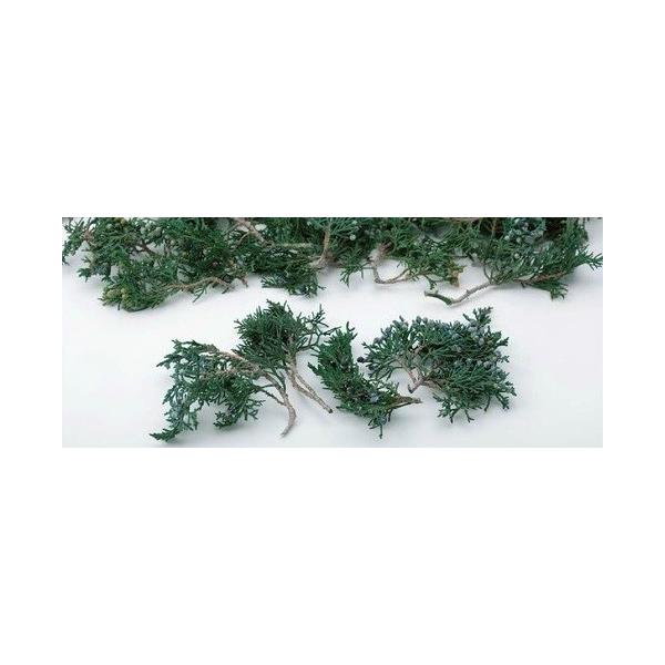 マウンテンジュニパー・小枝 グリーン 02041-700【プリザーブドフラワー・プリザーブド　花材】１袋（約90ｇ）約6-12cmL＊自然の生花や植物を原料としています。サイズ、色、形などは同一ではありません。＊表示について《検索ワード》プ...