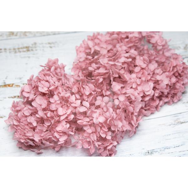 アナベル・ヘッド・ミスティーピンク【プリザーブドフラワー・プリザーブド　花材】1箱（約2輪分）＊自然の生花や植物を原料としています。サイズ、色、形などは同一ではありません大地農園＊表示について【この商品はお取寄せになります。】と表示されてい...