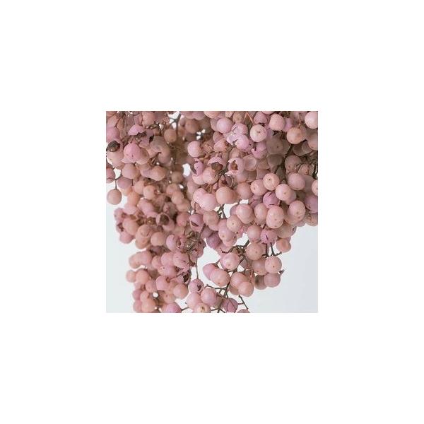 ペッパーベリー・プリザーブド ベビーピンク 03380-101【プリザーブドフラワー・プリザーブド　花材】１束約55g約25-35ｃｍL商品特性上実が落ちたり割れがあります。＊自然の生花や植物を原料としています。サイズ、色、形などは同一では...