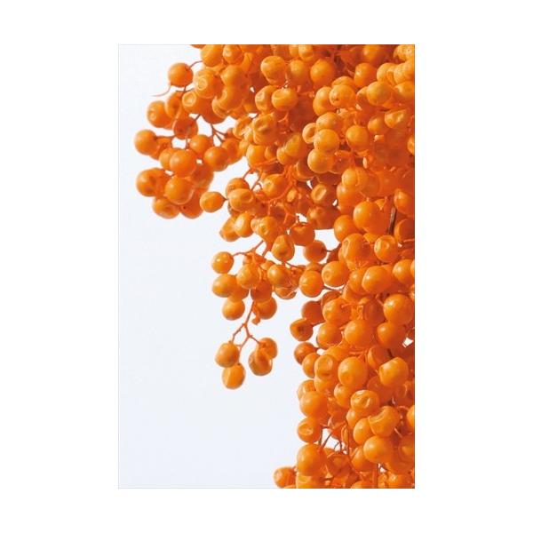 ペッパーベリー・プリザーブド オレンジ 03380-350【プリザーブドフラワー・プリザーブド　花材】１束約55g約25-35ｃｍL商品特性上実が落ちたり割れがあります。＊自然の生花や植物を原料としています。サイズ、色、形などは同一ではあり...