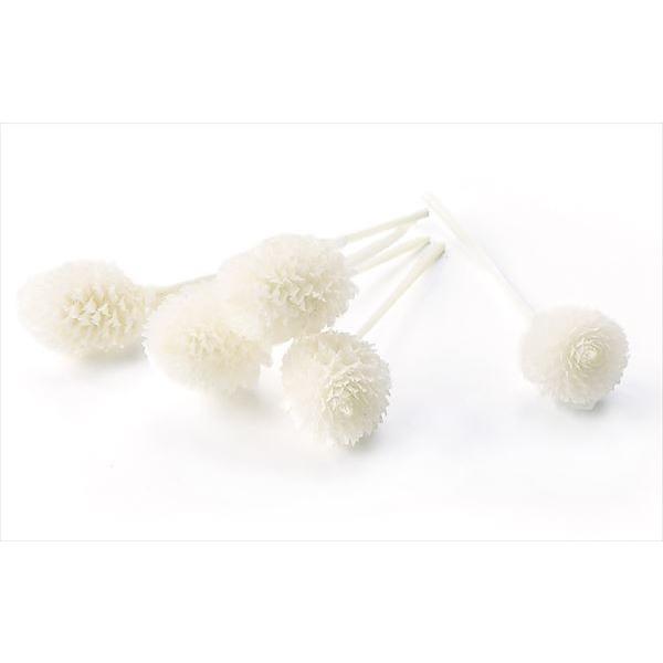 千日紅・プリザーブド・ヘッド 白 03453-0111箱30輪入全長約2-4ｃｍ花サイズ1-3ｃｍ商品特性上実が落ちたり割れがあります。＊自然の生花や植物を原料としています。サイズ、色、形などは同一ではありません。＊表示について《検索ワード...