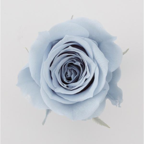 ローズ・いずみ ミストブルー 03480-671【プリザーブドフラワー・プリザーブド　花材】9輪入り花径3.5-4.5cm花丈3-3.5m＊自然の生花や植物を原料としています。サイズ、色、形などは同一ではありません＊表示について《検索ワード...
