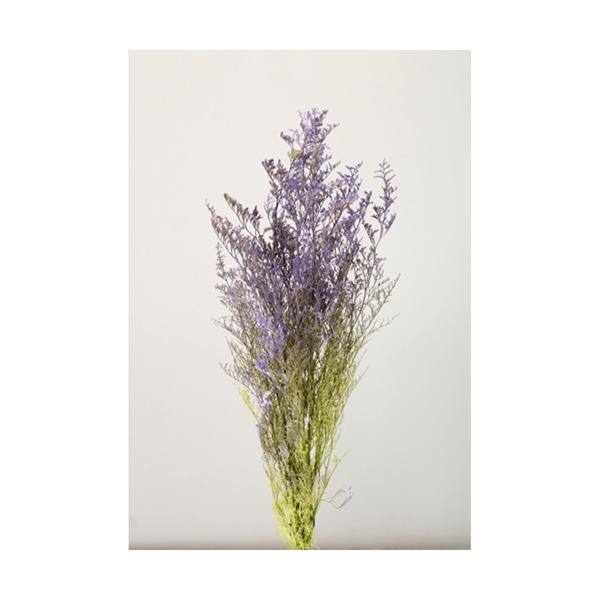 カスピア パープル／グリーン 03715-470約60cmL/1束(約27g)防虫加工＊商品特性上、花や葉が折れたり割れたりしている場合がございます。＊自然の生花や植物を原料としています。サイズ、色、形などは同一ではありません。＊表示につい...