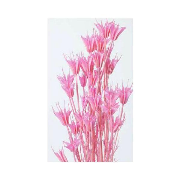 ニゲラオリエンタリス プリンセスピンク 10380-181１束約30g約50cm防虫加工＊自然の生花や植物を原料としています。サイズ、色、形などは同一ではありません。＊表示について《検索ワード》プリザーブドフラワー　ドライフラワー　花材　資...