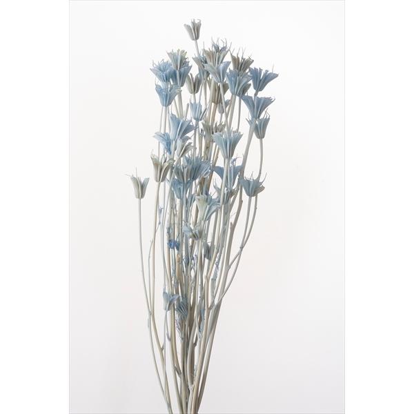 ニゲラオリエンタリス ウォーターブルー 10380-6911束（約30g入）約50ｃｍL＊自然の生花や植物を原料としています。サイズ、色、形などは同一ではありません＊表示について【この商品はお取寄せになります。】と表示されている商品は、ご注...