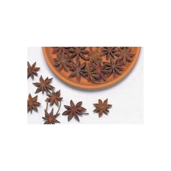 スターアニス Ｎ 21020-000１袋（約35g・20コ）＊自然の生花や植物を原料としています。サイズ、色、形などは同一ではありません。＊表示について《検索ワード》プリザーブドフラワー　ドライフラワー　花材　資材　大地農園かざい　卸　問屋...