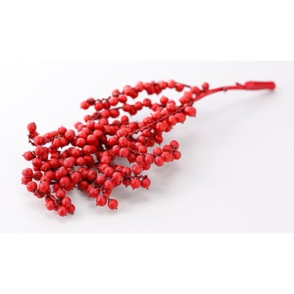 カネラ レッド 22071-300約15-25ｃｍ1袋　約100g＊自然の生花や植物を原料としています。＊表示について《検索ワード》プリザーブドフラワー　ドライフラワー　花材　資材　大地農園かざい　卸　問屋　ハーバリウム　フラワーアレンジア...