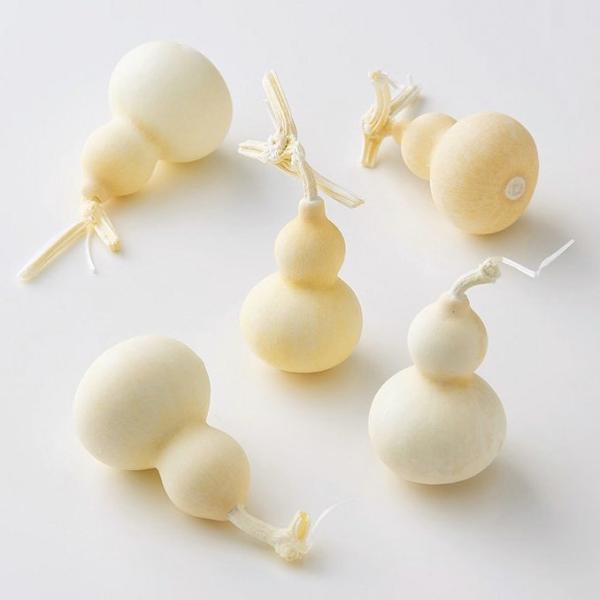 豆ひょうたん オフホワイト 22330-011１袋　5個入り約4-7ｃｍ＊自然の生花や植物を原料としています。サイズ、色、形などは同一ではありません。＊表示について《検索ワード》プリザーブドフラワー　ドライフラワー　花材　資材　大地農園かざ...