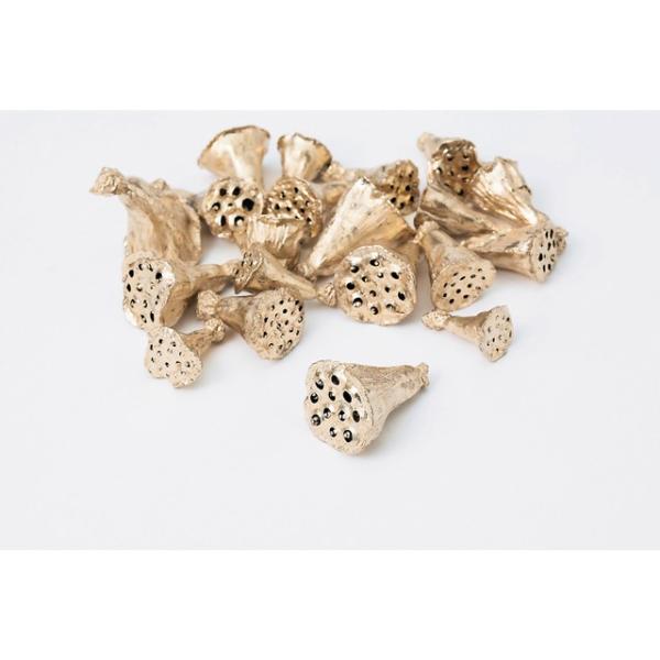 ミニハス・小 プラチナ 22420-932約1~2.5cm　約20個＊自然の生花や植物を原料としています。＊表示について《検索ワード》プリザーブドフラワー　ドライフラワー　花材　資材　大地農園かざい　卸　問屋　ハーバリウム　フラワーアレンジ...