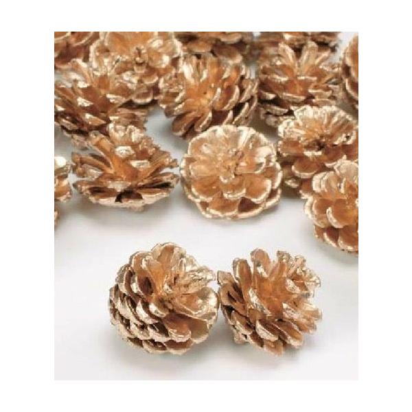 松カサ・小 ゴールド 24220-9023-4.5ｃｍ　約20個　＊自然の生花や植物を原料としています。＊表示について《検索ワード》プリザーブドフラワー　ドライフラワー　花材　資材　大地農園かざい　卸　問屋　ハーバリウム　フラワーアレンジア...