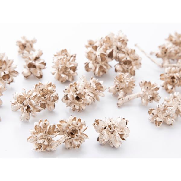 フラワーコーン プラチナ 24710-932約2ｃｍ　約30ｇ　約３０-50個＊自然の生花や植物を原料としています。＊表示について《検索ワード》プリザーブドフラワー　ドライフラワー　花材　資材　大地農園かざい　卸　問屋　ハーバリウム　フラワ...