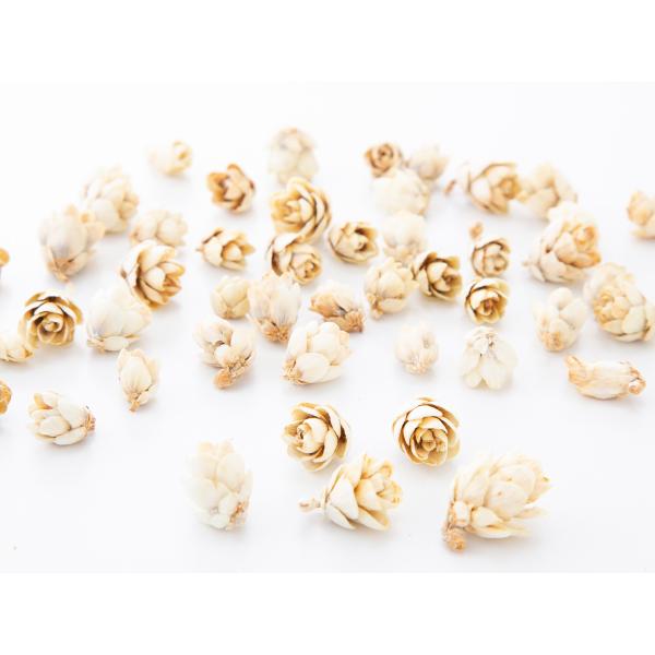 タマラックコーン ナチュラルホワイト 24720-021約1ｃｍ　約25ｇ　約130-160個＊自然の生花や植物を原料としています。＊表示について《検索ワード》プリザーブドフラワー　ドライフラワー　花材　資材　大地農園かざい　卸　問屋　ハー...