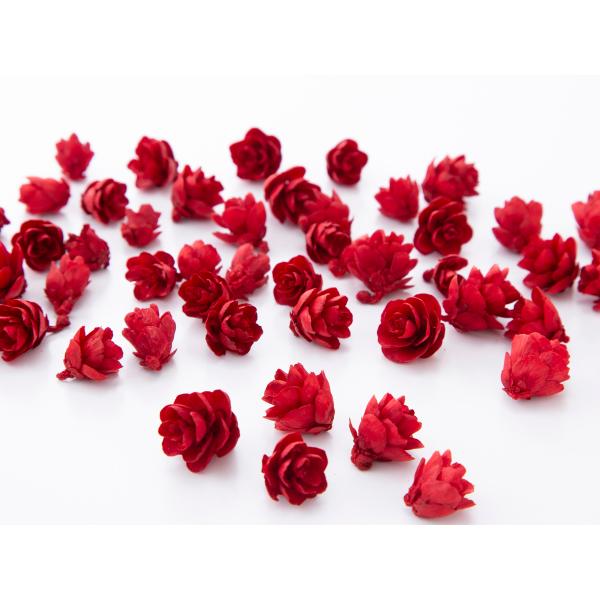 タマラックコーン レッド 24720-300約1ｃｍ　約25ｇ　約130-160個＊自然の生花や植物を原料としています。＊表示について《検索ワード》プリザーブドフラワー　ドライフラワー　花材　資材　大地農園かざい　卸　問屋　ハーバリウム　フ...