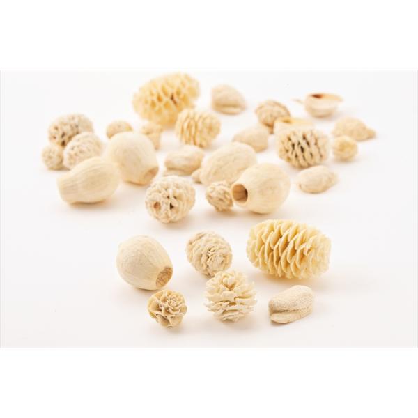 ミックスナッツ 白 24840-0101袋（約120g）＊自然の生花や植物を原料としています。サイズ、色、形などは同一ではありません。＊表示について《検索ワード》プリザーブドフラワー　ドライフラワー　花材　資材　大地農園かざい　卸　問屋　ハ...