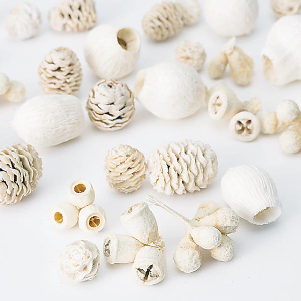 ミックスナッツ・小 白 24841-0101袋（約70g）＊自然の生花や植物を原料としています。サイズ、色、形などは同一ではありません。＊表示について《検索ワード》プリザーブドフラワー　ドライフラワー　花材　資材　大地農園かざい　卸　問屋　...
