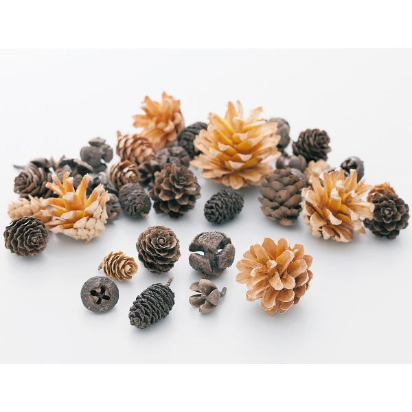 コーンアソート Ｎ 24884-0001袋（約60-70個・約100g）＊自然の生花や植物を原料としています。サイズ、色、形などは同一ではありません。＊表示について《検索ワード》プリザーブドフラワー　ドライフラワー　花材　資材　大地農園かざ...