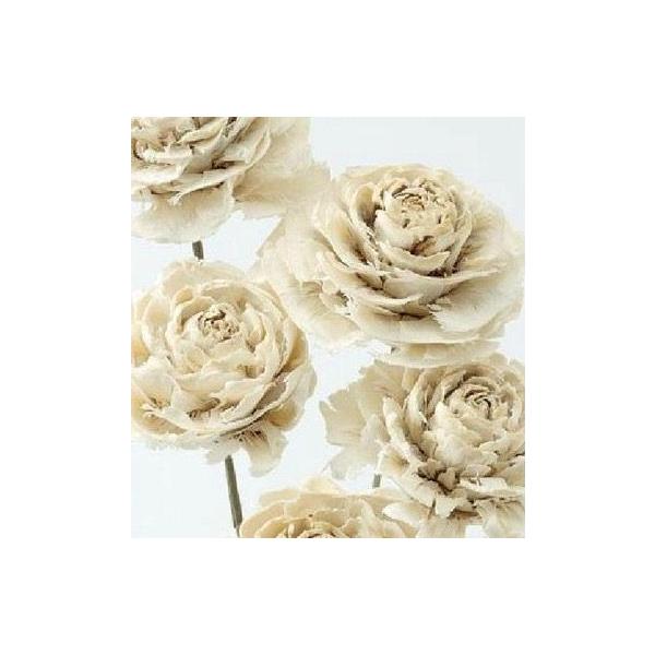 シダローズ オフホワイト 30080-0101束5本約35-40ｃｍL　花径約5ｃｍ＊自然の生花や植物を原料としています。＊輸送中に花弁が落ちたりすることがございますがグルーガン等で補強の上ご使用下さい。＊表示について《検索ワード》プリザー...