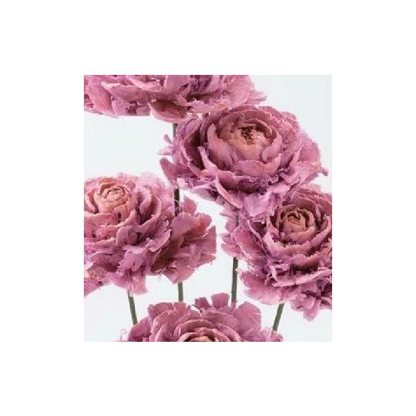 シダローズ クリスタルピンク 30080-1101束5本約35-40ｃｍL　花径約5ｃｍ＊自然の生花や植物を原料としています。＊輸送中に花弁が落ちたりすることがございますがグルーガン等で補強の上ご使用下さい。＊表示について《検索ワード》プリ...