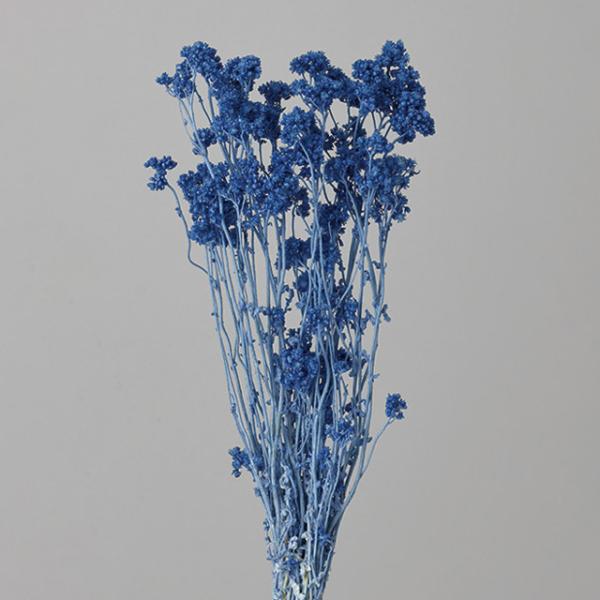 クリスパム ソーダブルー 30140-651１束約15g約35cm防虫加工＊自然の生花や植物を原料としています。サイズ、色、形などは同一ではありません。＊表示について《検索ワード》プリザーブドフラワー　ドライフラワー　花材　資材　大地農園か...
