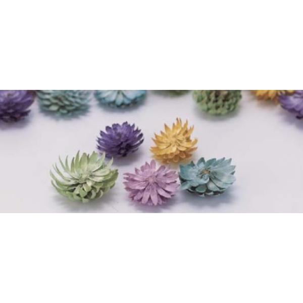 チーゼルフラワー パープルミックス 33000-440１袋約15g約1.5-2.5ｃｍ＊自然の生花や植物を原料としています。サイズ、色、形などは同一ではありません。＊表示について《検索ワード》プリザーブドフラワー　ドライフラワー　花材　資材...