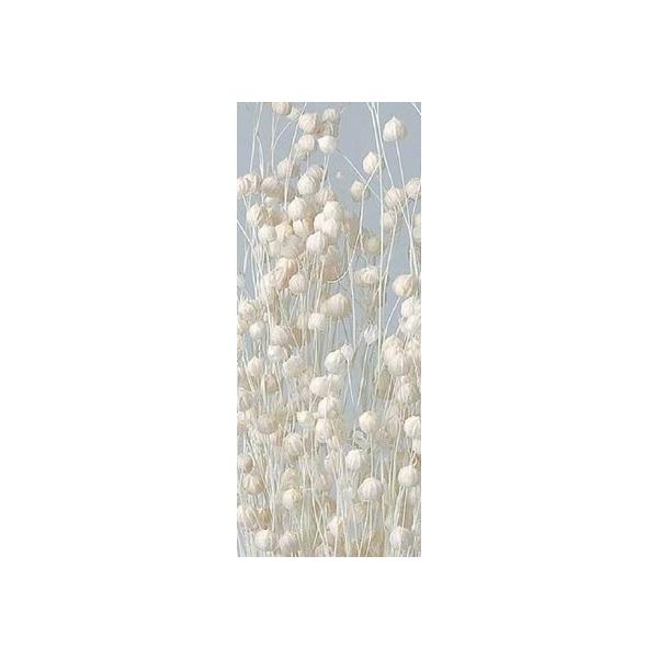 リンフラワー 白 35010-0111束　約25g　約50ｃｍL＊自然の生花や植物を原料としています。サイズ、色、形などは同一ではありません。＊表示について《検索ワード》プリザーブドフラワー　ドライフラワー　花材　資材　大地農園かざい　卸　...