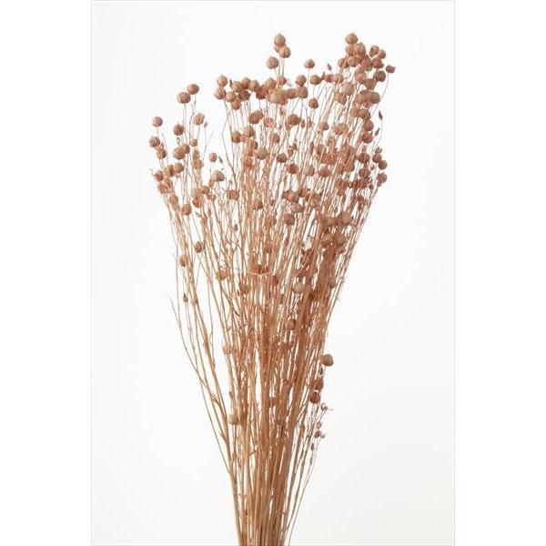 リンフラワー シルキーピンク 35010-1611束　約25g　約50ｃｍL＊自然の生花や植物を原料としています。サイズ、色、形などは同一ではありません。＊表示について《検索ワード》プリザーブドフラワー　ドライフラワー　花材　資材　大地農園...