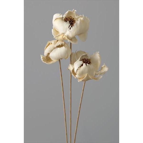 パームフラワー 白 40510-011約55ｃｍL　花径約7-10ｃｍ　1束3本中心部をグルーで固定しております。梱包時にステム部分を曲げさせていただく場合がございます。配送中にパーツがとれる場合がありますがグルー等で固定しご使用下さい。＊...