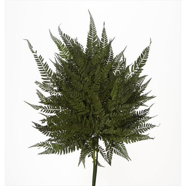 ヒメワラビ グリーン 50330-700【プリザーブドフラワー・プリザーブド　花材】１束 （10枚）約45-50cmL＊自然の生花や植物を原料としています。サイズ、色、形などは同一ではありません。＊表示について《検索ワード》プリザーブドフラ...