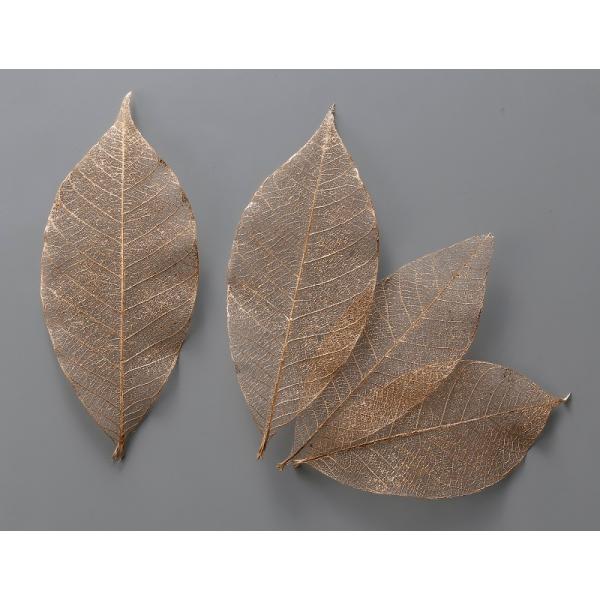 ミニスケルトンリーフ　小 ゴールド 51493-902１袋（約40枚）約5.5-8cm防虫加工＊自然の生花や植物を原料としています。サイズ、色、形などは同一ではありません。＊表示について《検索ワード》プリザーブドフラワー　ドライフラワー　花...
