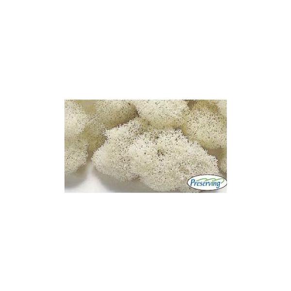 フィンランドモス 白 61151-011【プリザーブドフラワー・プリザーブド　花材】１箱（約65g）＊自然の生花や植物を原料としています。サイズ、色、形などは同一ではありません。＊表示について《検索ワード》プリザーブドフラワー　ドライフラワ...