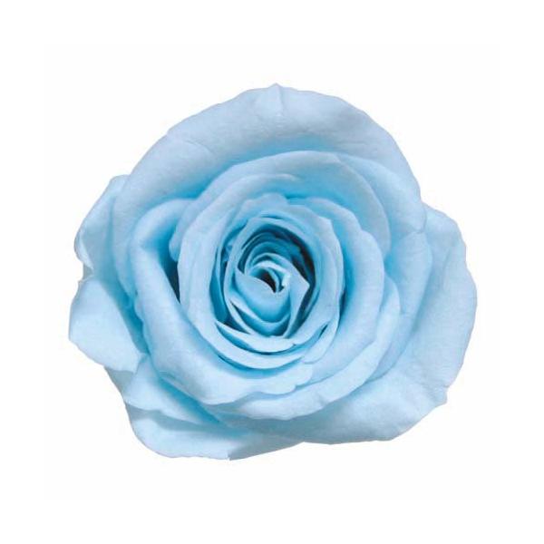 プリザーブドフラワー・ パウダーブルー・スプレーローズ FL070-13   【プリザーブドフラワー・プリザーブド　花材】1箱8輪入り花径約3.5-4.5ｃｍ　花丈約3-4ｃｍ＊自然の生花や植物を原料としています。サイズ、色、形などは同一で...