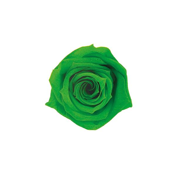 プリザーブドフラワー・ グラスグリーン・スプレーローズ FL070-88   【プリザーブドフラワー・プリザーブド　花材】1箱8輪入り花径約3.5-4.5ｃｍ　花丈約3-4ｃｍ＊自然の生花や植物を原料としています。サイズ、色、形などは同一で...