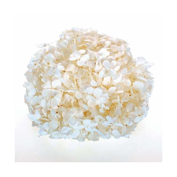 vU[uht[E p[zCgEAfXAWTC