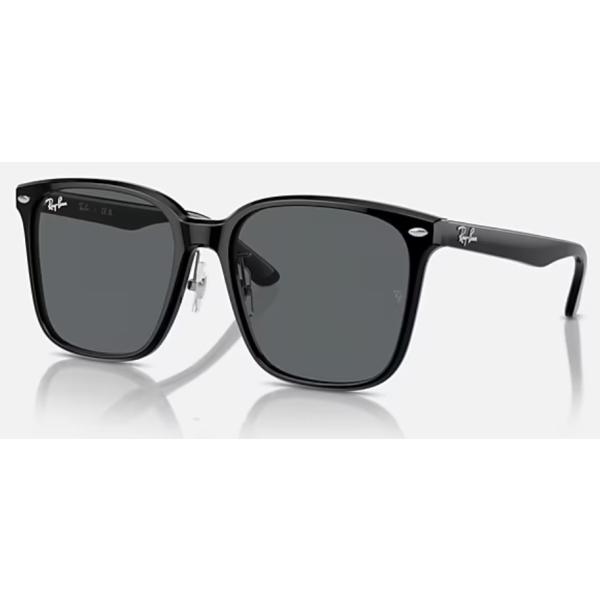 Ray-Ban（レイバン） 国内正規品 2206 ( Low Bridge Fit ) RB2206D 901
