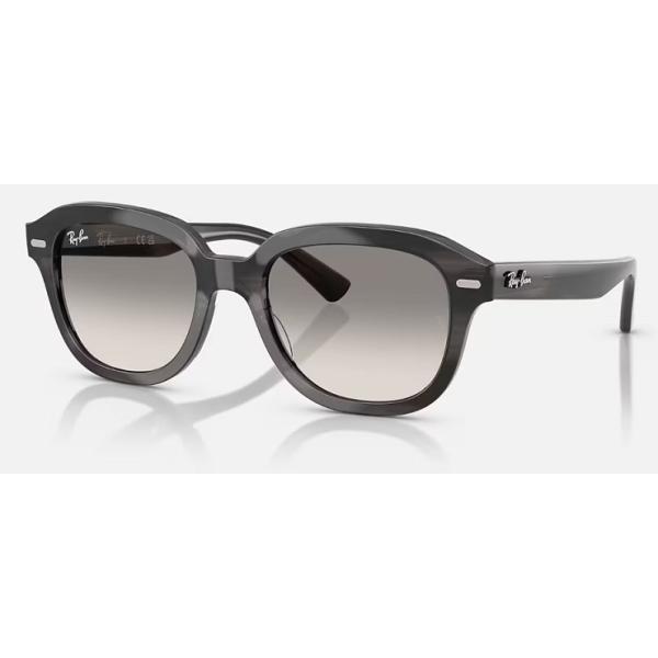 Ray-Ban（レイバン） 正規保証書(押印)付 Ray-Ban ERIK ( Low Bridge