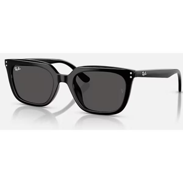 Ray-Ban レイバン　RB4441D ※週末値下げ中 Ray-Ban 国内正規品 レイバン RB4441D ( Low Bridge Fit ) BIO