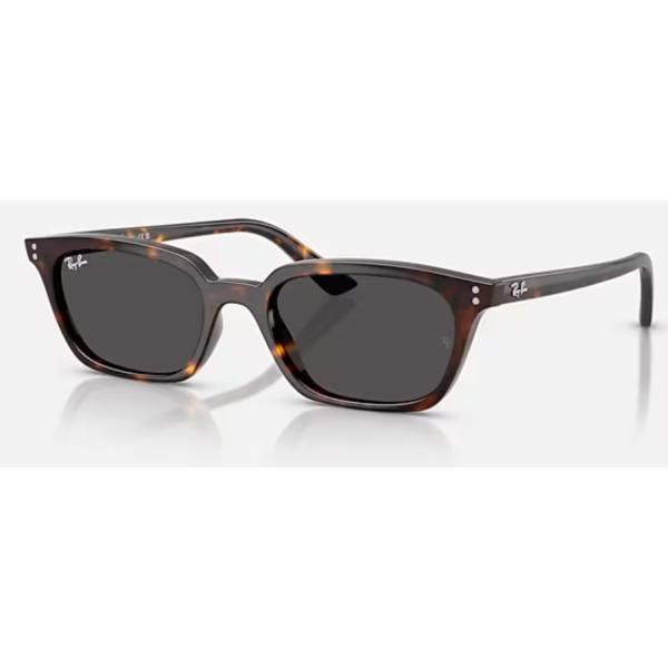 plusfavo_rayban-zaya-rb4456f-