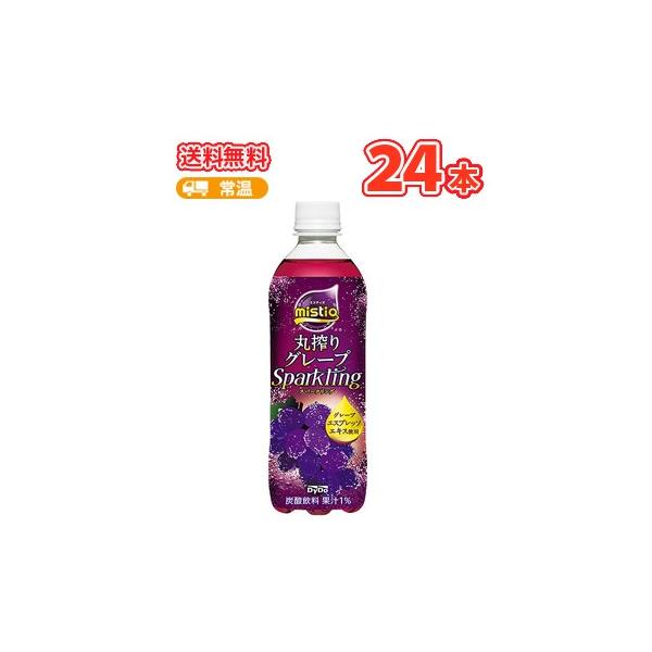 _Ch[ ~XeBI ۍO[vXp[NO@PET 500ml×24{ mistio Ԃǂ Y_ 500PET P[X̔ ܂Ƃߔ