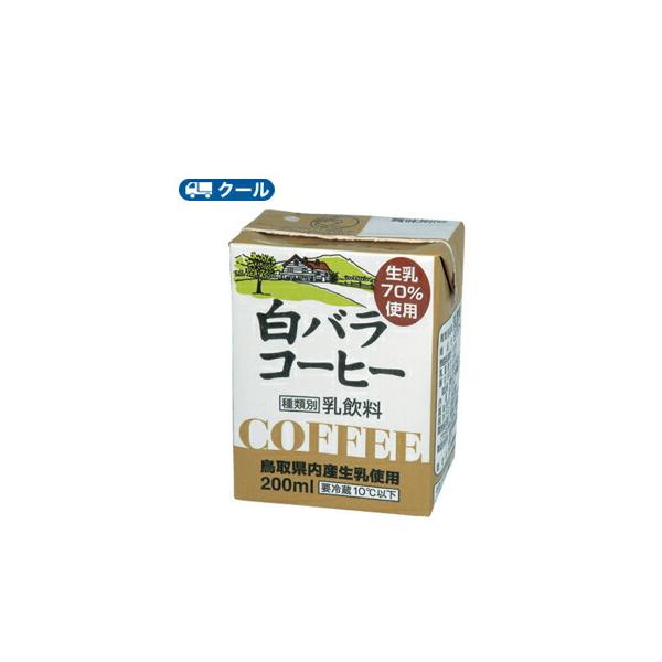 白バラ　コーヒー【200ml×12本】 クール便/ミルク　コーヒー　珈琲　ミルクコーヒー　送料無料