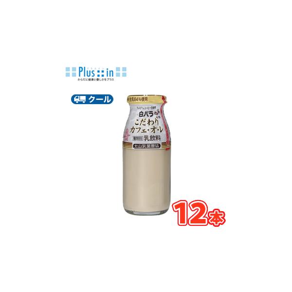 plusin_10000938-12m