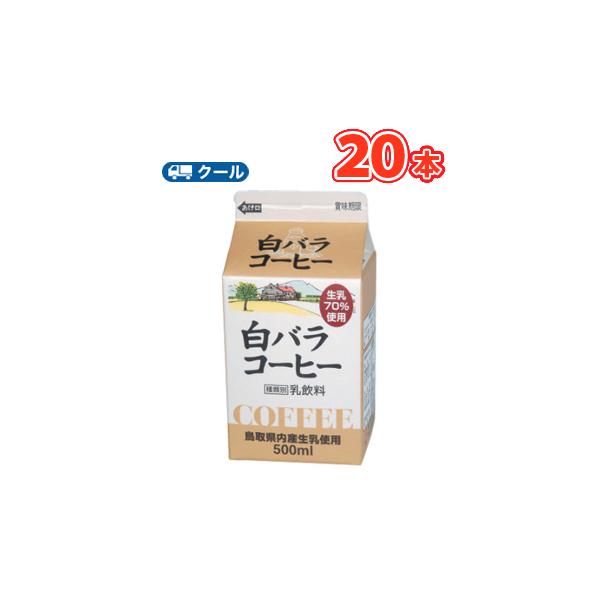 o R[q[ 500ml×20{ N[/Y///R/_ EYsgp