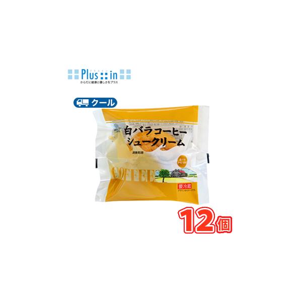 白バラ コーヒーシュークリーム 12個【クール便】  シュークリーム 洋菓子 スイーツ コーヒー スイーツ おやつ　送料無料