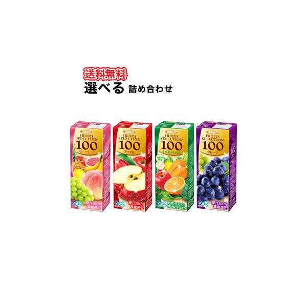 エルビー 選べる2ケース　フルーツセレクション アップル/グレープ/フルーツセブン/キャロット【200ml×24本入】2ケース　紙パック