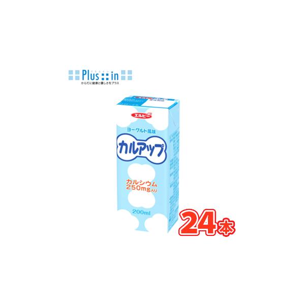 エルビー カルアップ　200ml×24本入　 紙パック　乳酸 カルシウム ヨーグルトLB えるびー ミリパック