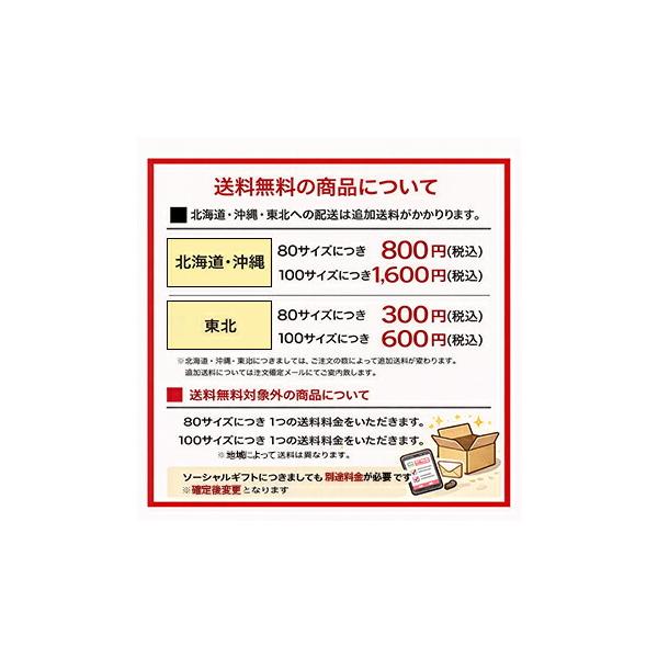 ���@���O�~���N�@MBP�h�����N�^�C�v100���~24�{ �y�N�[���ցz�@�������@�����x�@�قˁ@������^���p�N ���i�摜1